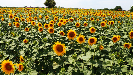 Similar image 21765926