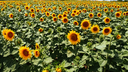 Similar image 21765927