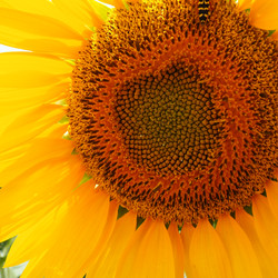 Similar image 21765928