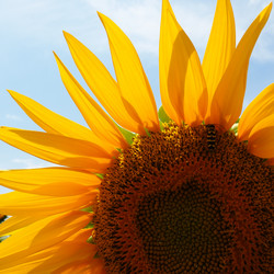 Similar image 21765929