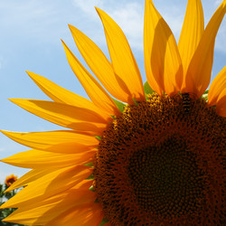 Similar image 21765930