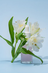 Similar image 21763036