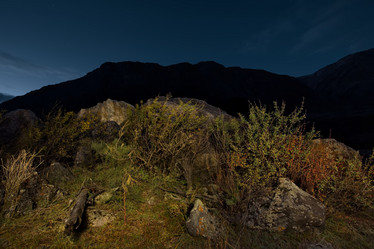 Similar image 21767000