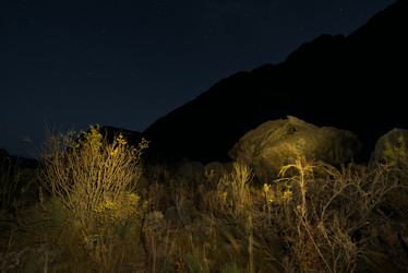 Similar image 21767002