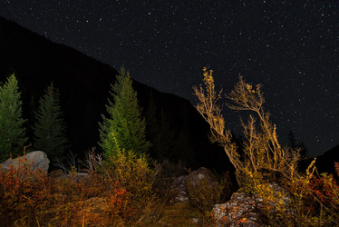 Similar image 21767007