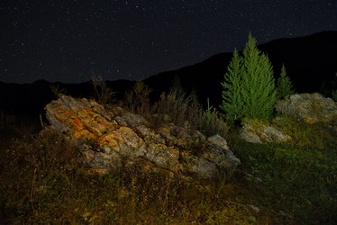 Similar image 21767010