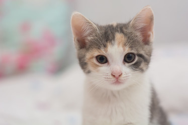 Similar image 21764649