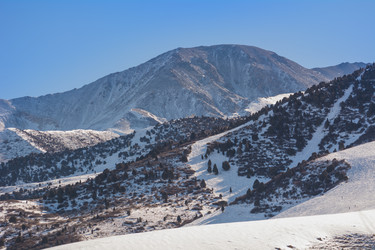 Similar image 21764659