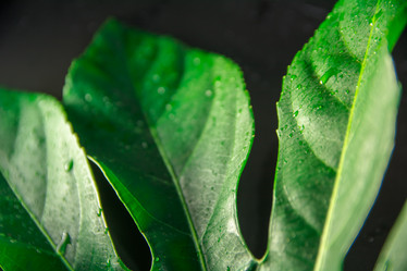 Similar image 21764665