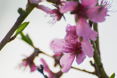 Similar image 21764666