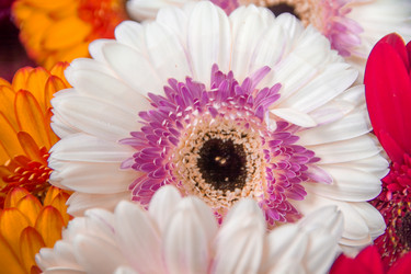 Similar image 21764667