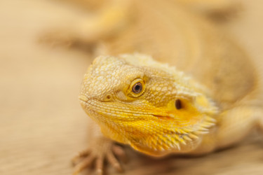 Similar image 21764672