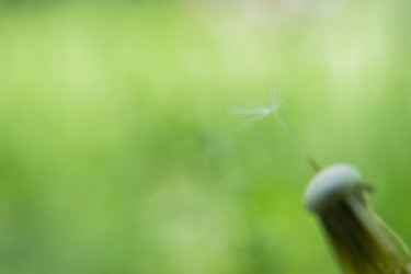 Similar image 21764673