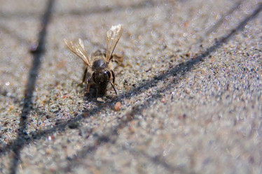 Similar image 21764677