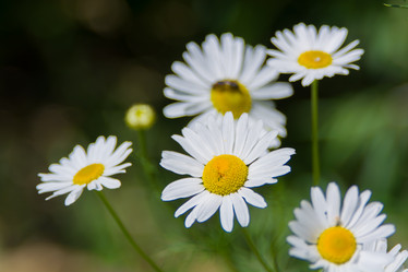 Similar image 21764679