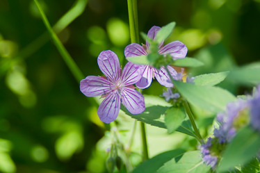 Similar image 21764680