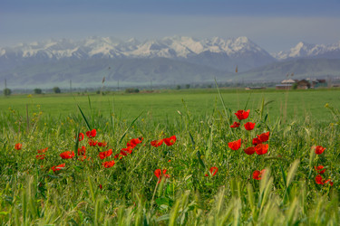 Similar image 21764682