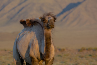 Similar image 21764684