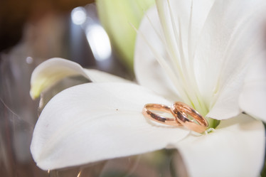 Similar image 21763465