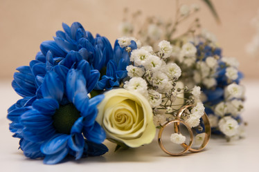 Similar image 21764690