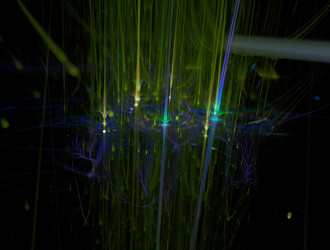 Similar image 21764456