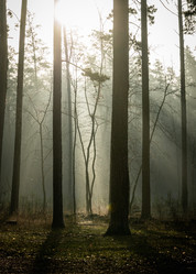 Similar image 21764070