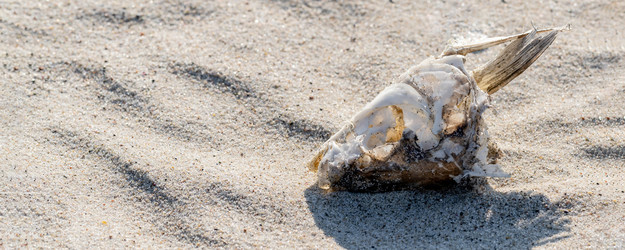 Similar image 21763624