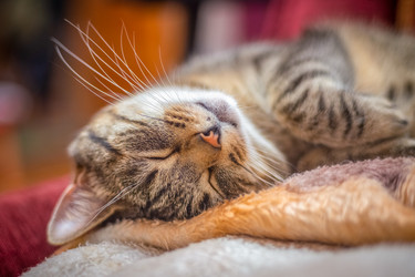 Similar image 21763626