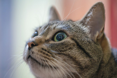 Similar image 21763630