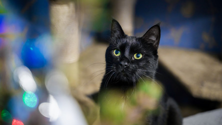 Similar image 21763638