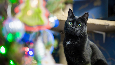 Similar image 21763640