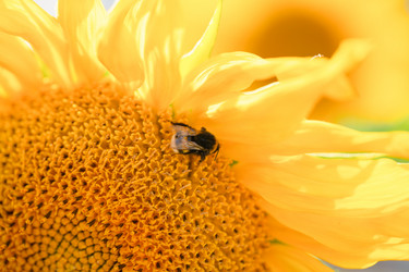 Similar image 21763781