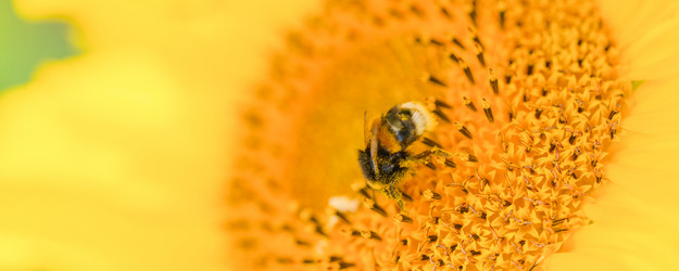 Similar image 21763782