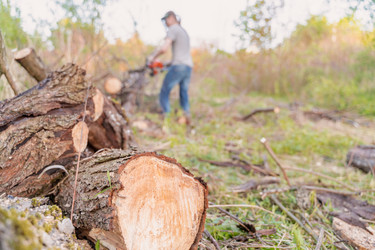 Similar image 21763786