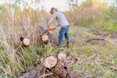 Similar image 21763787