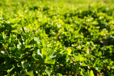 Similar image 21765947