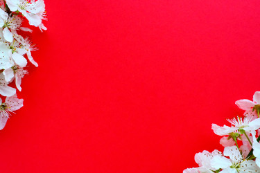 Similar image 21765948