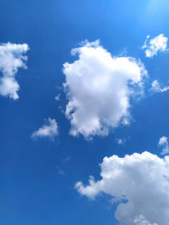 Similar image 21765950