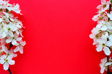 Similar image 21765951