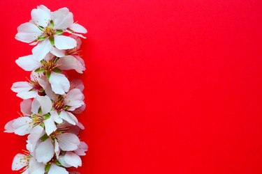 Similar image 21765954