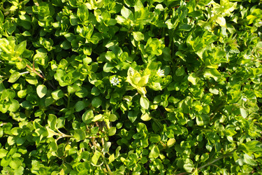 Similar image 21765956