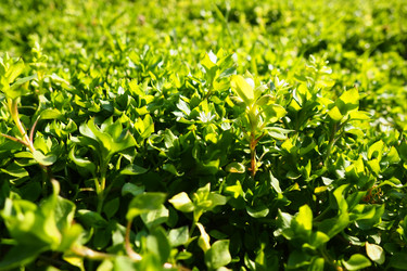 Similar image 21765959