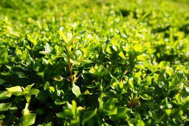 Similar image 21765962