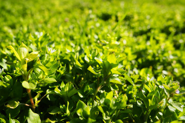 Similar image 21765963