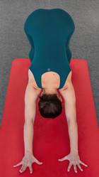 Similar image 21764130