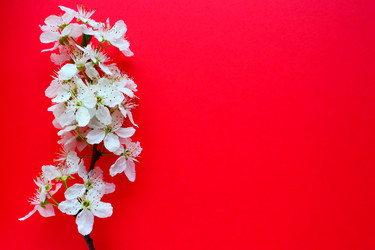 Similar image 21765964