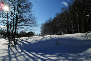 Similar image 21764816