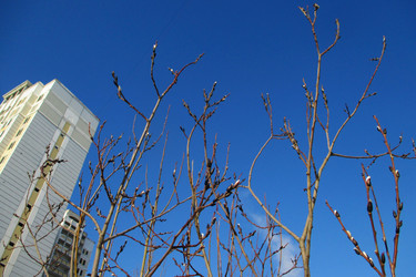 Similar image 21764818