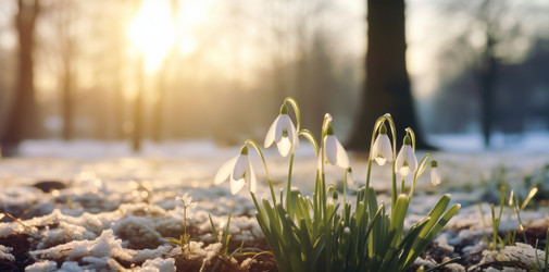 Similar image 21764997