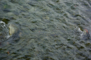 Similar image 21764074